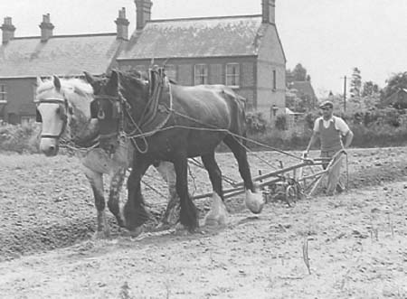 1940 Ploughing 02