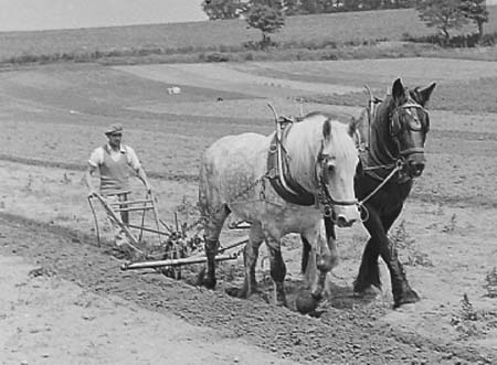 1940 Ploughing 04