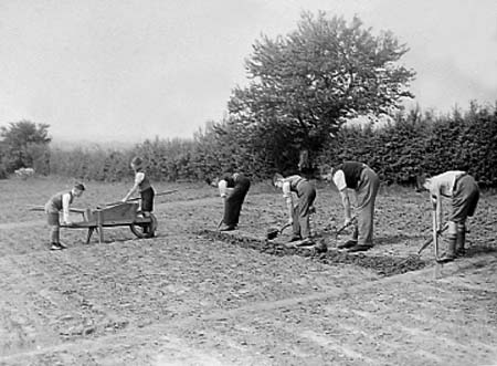 1942 Boy Gardeners 11