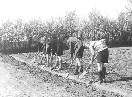 1943 Boy Gardeners 09