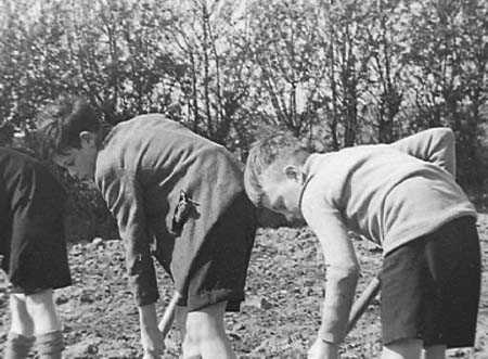 1943 Boy Gardeners 10