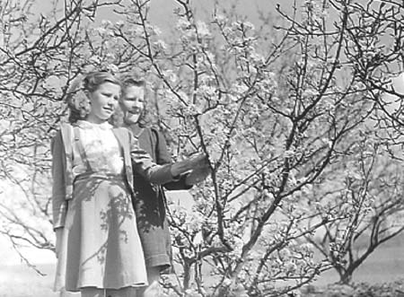 1943 Springtime 01