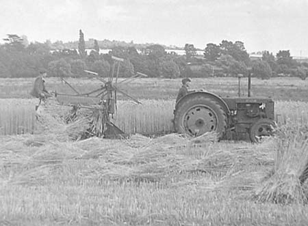 1946 Harvesting 04