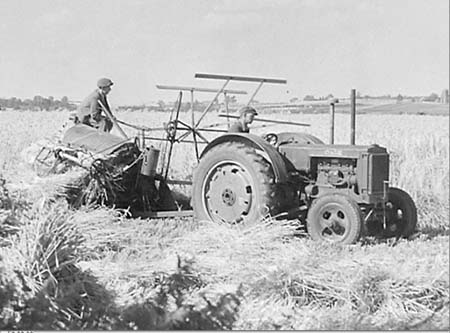 1946 Harvesting 05