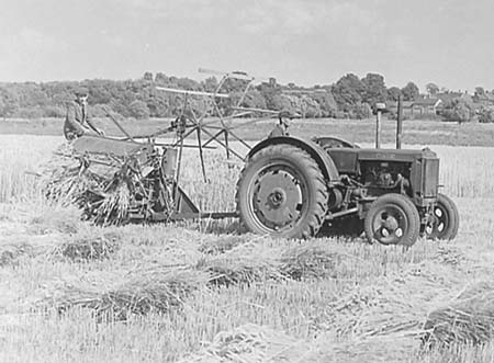 1946 Harvesting 06
