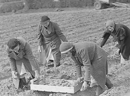 1941 Farming 02