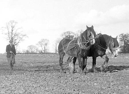 1951 Harrowing 02