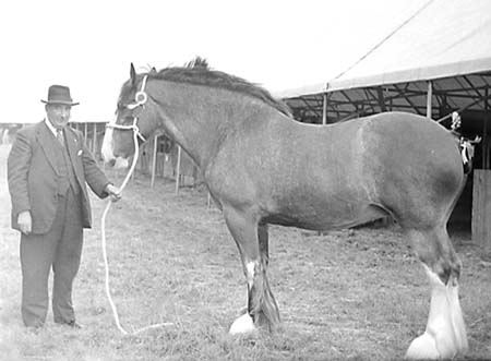 1953 AJ Woodward 04