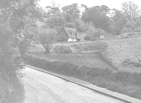 1955 Cottage 02