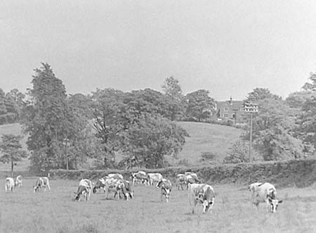 1956 Pastoral Scenes 01