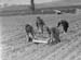 1941 Farming 01