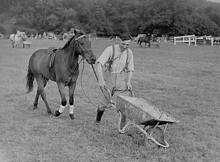 1947 Gymkhana 04