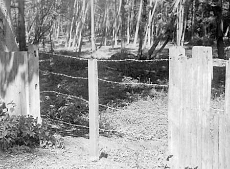 1949 Park Fence 08