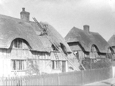 Ossory Cottages 1947.3079