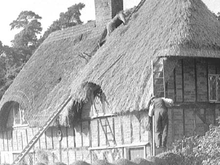 Ossory Cottages 1947.3082