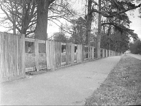  Fence Damage 1948.3229
