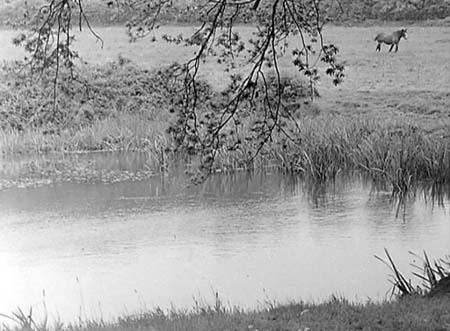  Westminster Pond. 03 1955