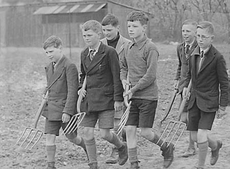 1941 Boy Gardeners 02