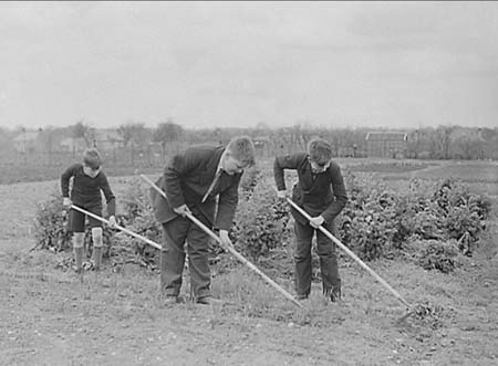 1941 Boy Gardeners 04