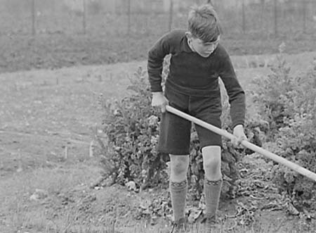 1941 Boy Gardeners 06