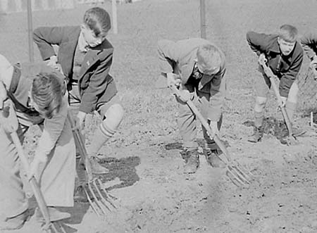 1944 Boy Gardeners 02