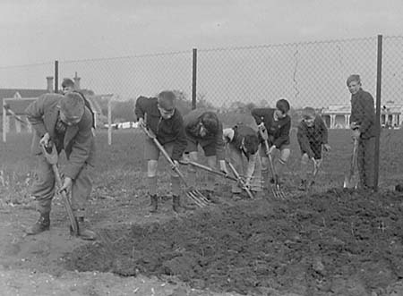 1944 Boy Gardeners 03