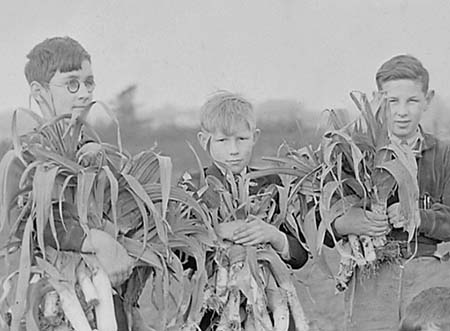 1944 Boy Gardeners 06