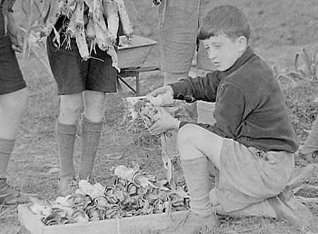 1944 Boy Gardeners 07