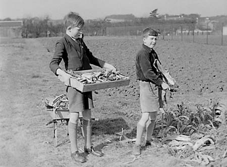 1944 Boy Gardeners 08