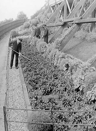 1950 Station Garden 01