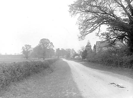  e1900s Country Lane 01