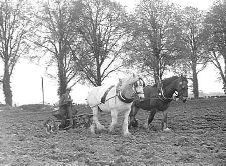 1942 Farming