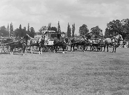 1944 Horse Show 01