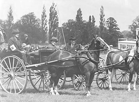 1944 Horse Show 05