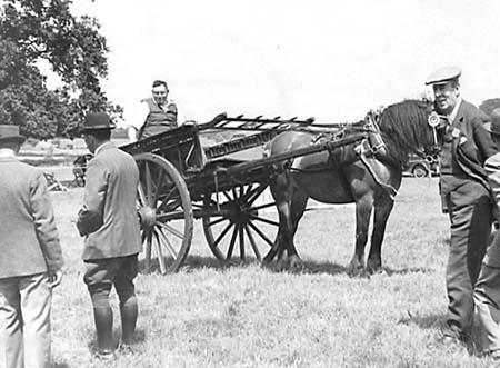 1944 Horse Show 08