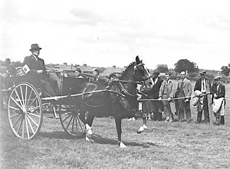 1944 Horse Show 13