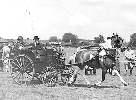 1944 Horse Show 14