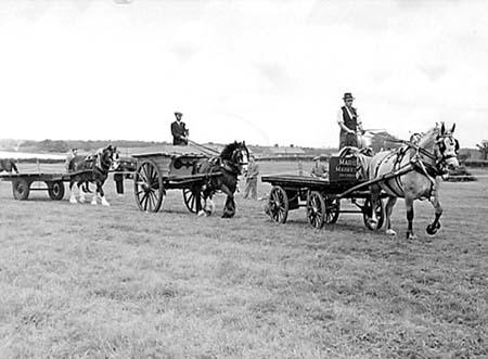 1944 Horse Show 15