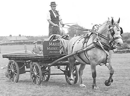 1944 Horse Show 16