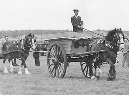 1944 Horse Show 17