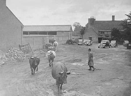 1948 Farming 01