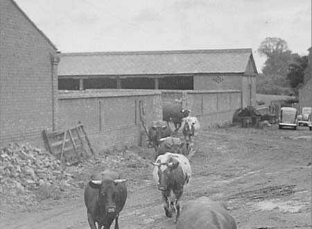 1948 Farming 02