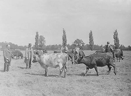 1948 Farming 06