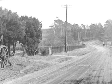 Rural Lane 1946.2879