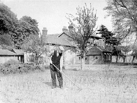 Sapling Nursery 1948.3265