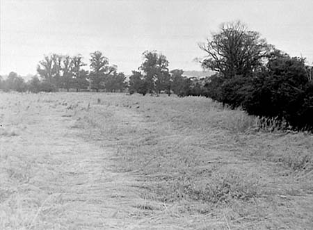 1948 Storm Damage 03