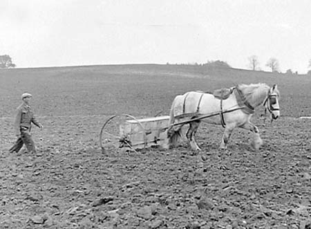 1949 Farming 02