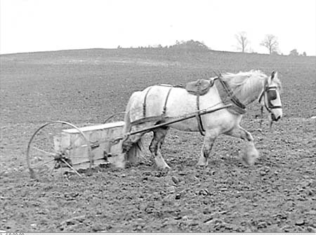 1949 Farming 03