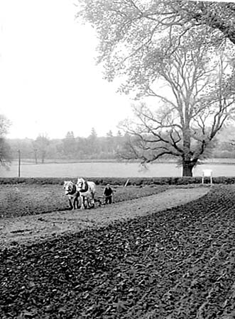 1949 Farming 07