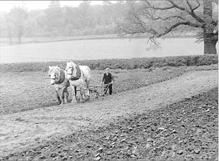 1949 Farming 08